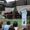 lysa_18_31